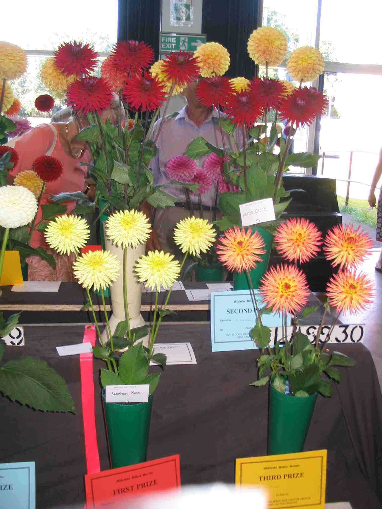 Annual show exhibits 2007