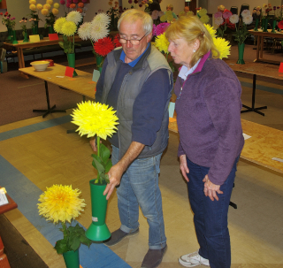 Judging at One Day Show 2017