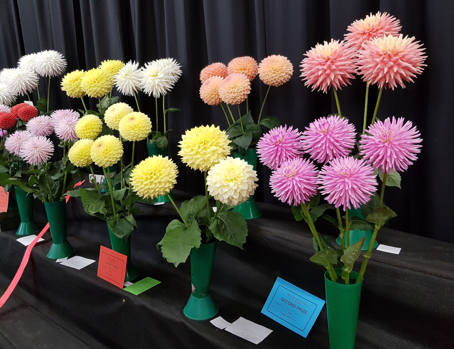 Lady Godiva exhibits