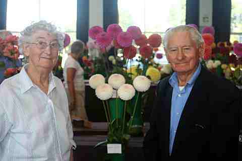 Picture of Midlands Dahlia Society winners