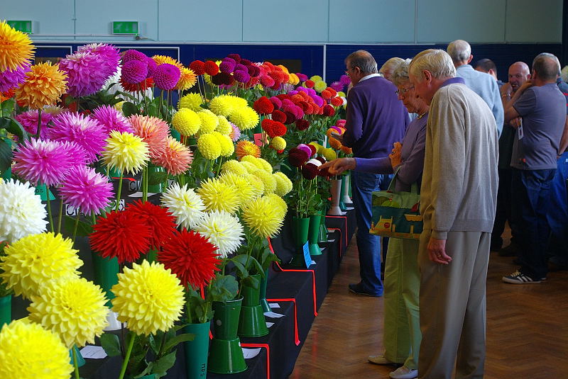 Visitors to the show