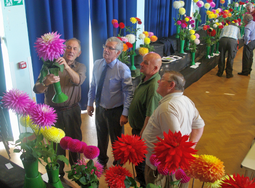 judging in progress