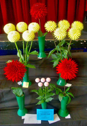 Annual Show second in championship