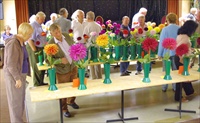 Single Bloom Show 2009