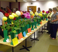 show exhibits